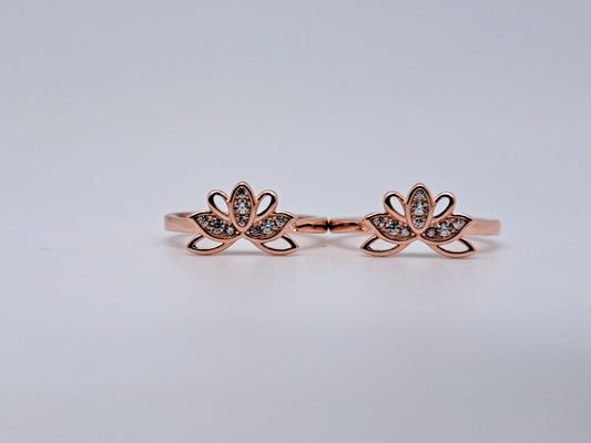 Zircon 3 stone Metti